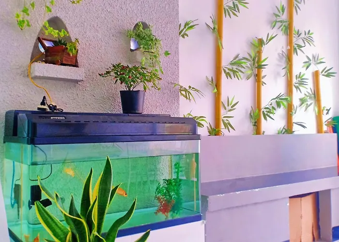Hoang Nga 1 Apartment
